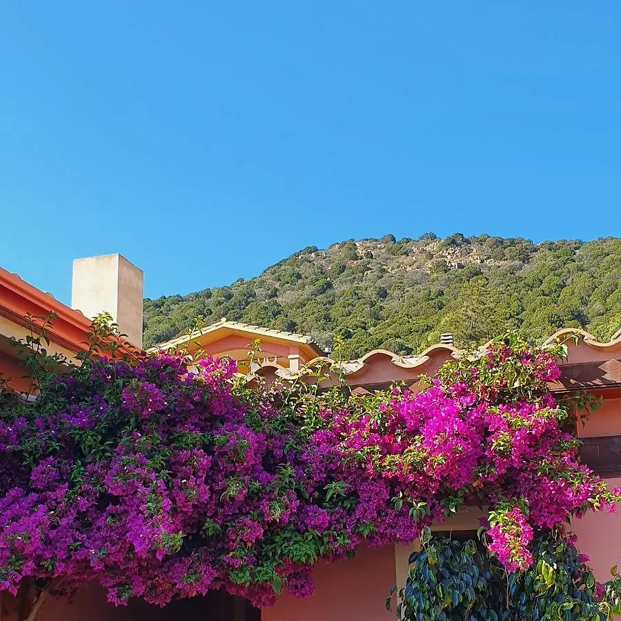 B&B La Vela Chia